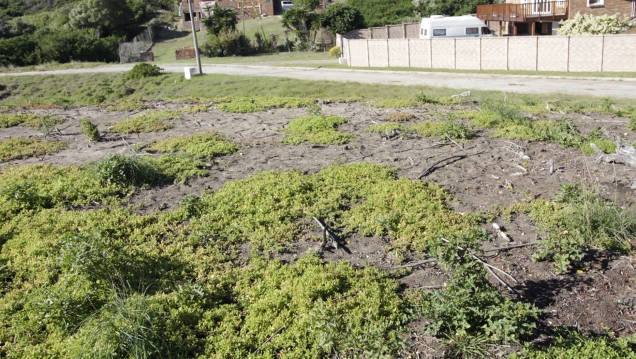 Commercial Property for Sale in Paradise Beach Eastern Cape